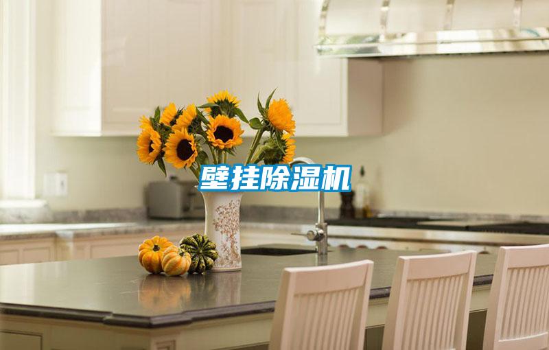 壁挂蜜柚直播APP正版下载