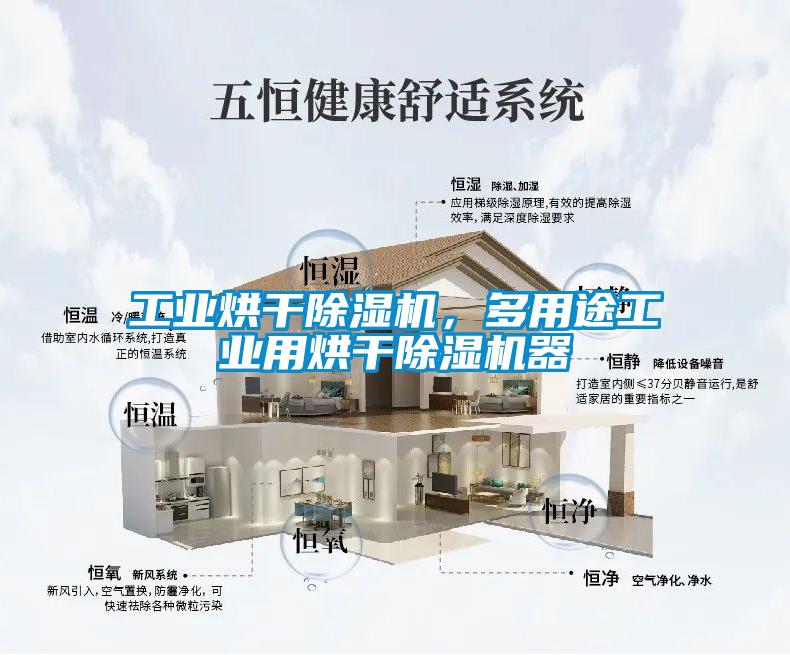 工业烘干蜜柚直播APP正版下载，多用途工业用烘干蜜柚直播APP正版下载器