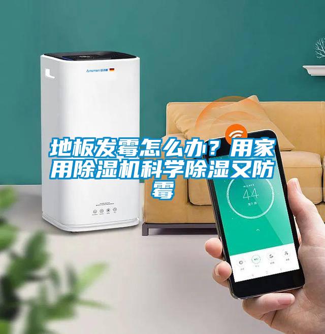 地板发霉怎么办？用家用蜜柚直播APP正版下载科学除湿又防霉
