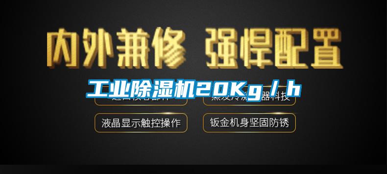 工业蜜柚直播APP正版下载20Kg／h