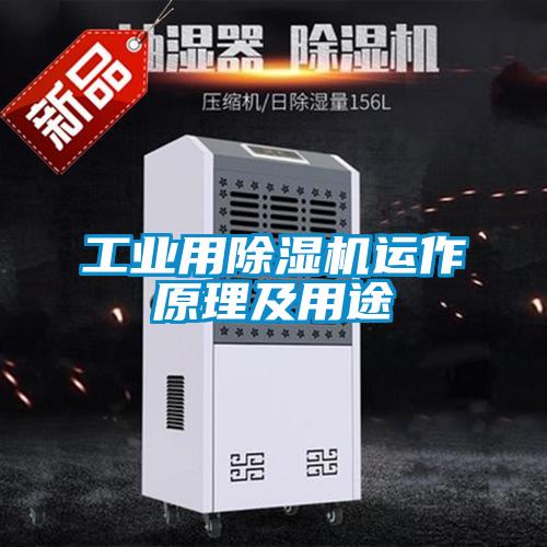 工业用蜜柚直播APP正版下载运作原理及用途