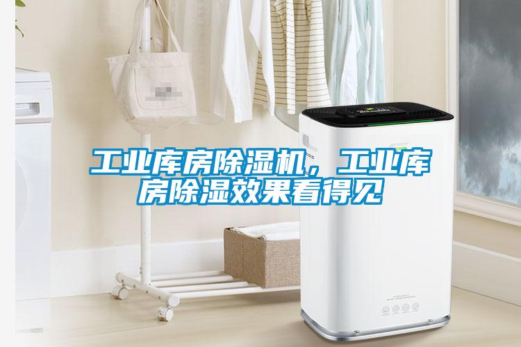 工业库房蜜柚直播APP正版下载，工业库房除湿效果看得见