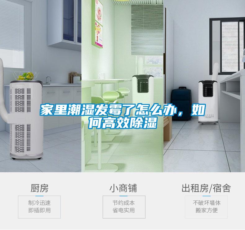 家里潮湿发霉了怎么办，如何高效除湿