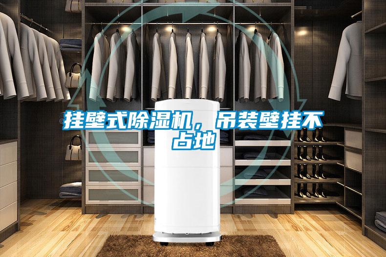挂壁式蜜柚直播APP正版下载，吊装壁挂不占地