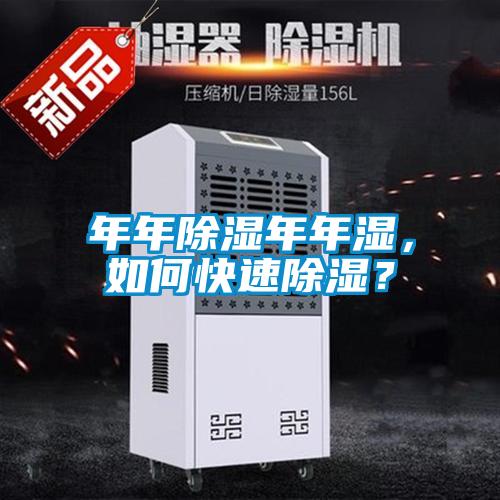 年年除湿年年湿，如何快速除湿？