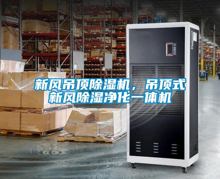 新风吊顶蜜柚直播APP正版下载，吊顶式新风除湿净化一体机