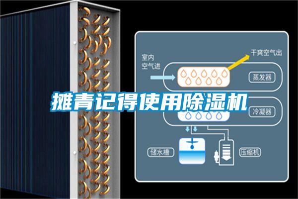 摊青记得使用蜜柚直播APP正版下载