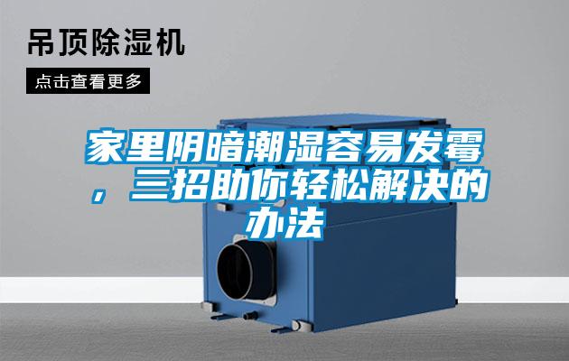 家里阴暗潮湿容易发霉，三招助你轻松解决的办法