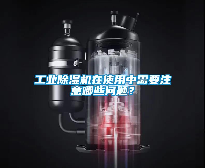工业蜜柚直播APP正版下载在使用中需要注意哪些问题？