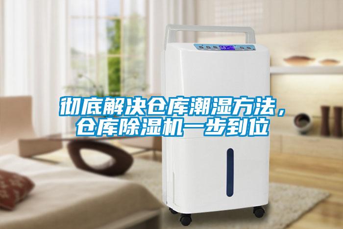彻底解决仓库潮湿方法，仓库蜜柚直播APP正版下载一步到位