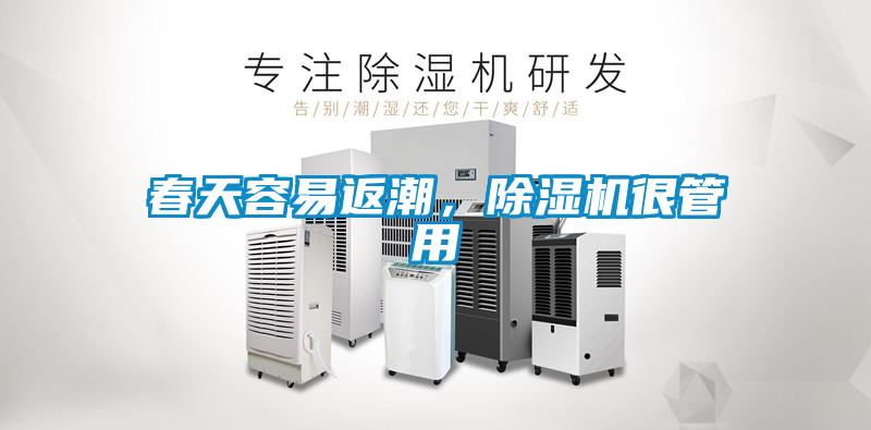 春天容易返潮，蜜柚直播APP正版下载很管用