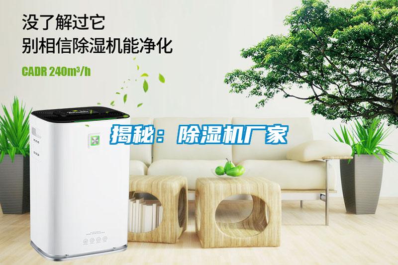 揭秘：蜜柚直播APP正版下载厂家