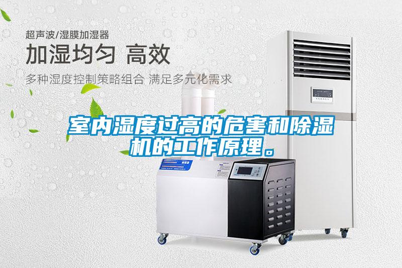 室内湿度过高的危害和蜜柚直播APP正版下载的工作原理。
