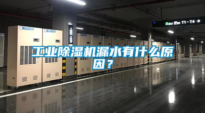 工业蜜柚直播APP正版下载漏水有什么原因？