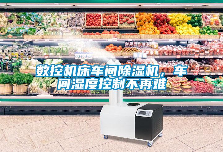 数控机床车间蜜柚直播APP正版下载，车间湿度控制不再难