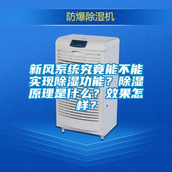 新风系统究竟能不能实现除湿功能？除湿原理是什么？效果怎样？