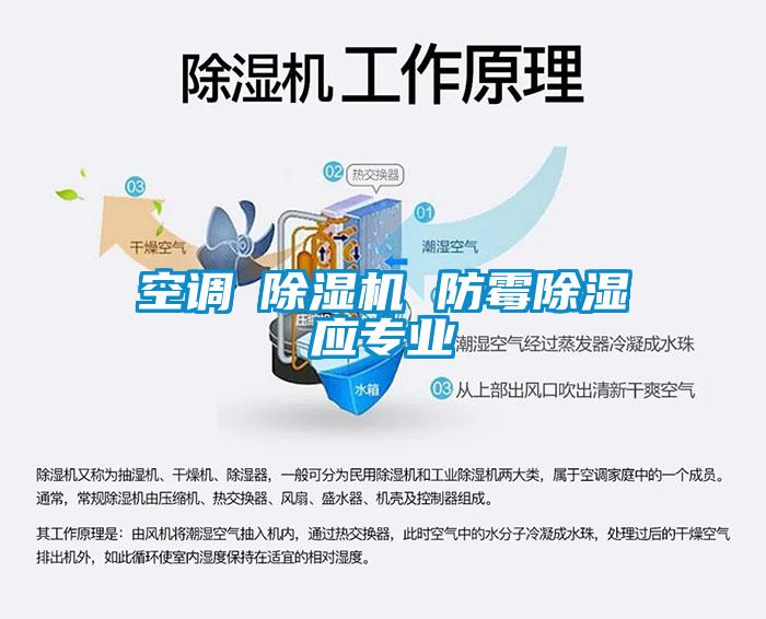 空调≠蜜柚直播APP正版下载 防霉除湿应专业