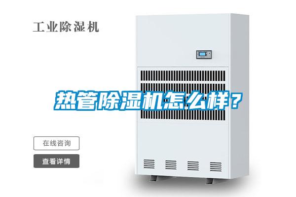 热管蜜柚直播APP正版下载怎么样？