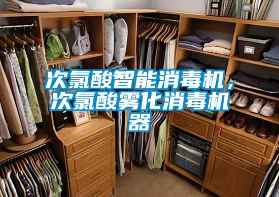 次氯酸智能消毒机，次氯酸雾化消毒机器