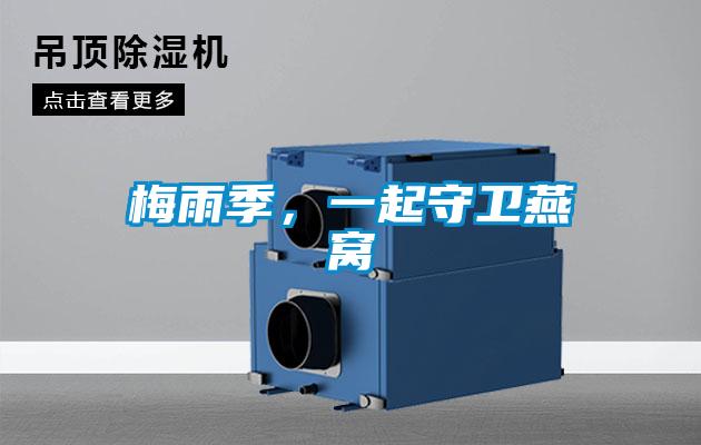 梅雨季，一起守卫燕窝
