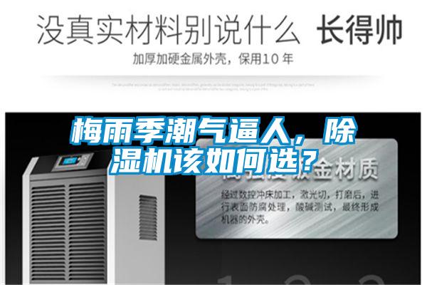 梅雨季潮气逼人，蜜柚直播APP正版下载该如何选？
