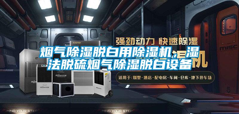 烟气除湿脱白用蜜柚直播APP正版下载，湿法脱硫烟气除湿脱白设备