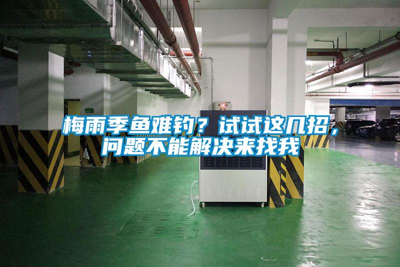 梅雨季鱼难钓？试试这几招，问题不能解决来找我