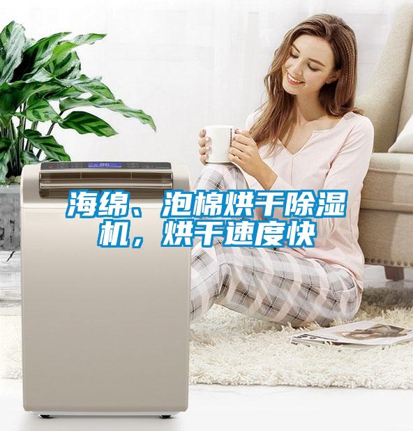 海绵、泡棉烘干蜜柚直播APP正版下载，烘干速度快
