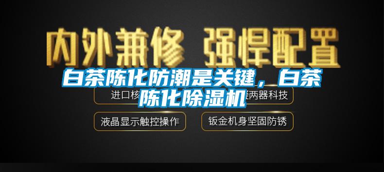 白茶陈化防潮是关键，白茶陈化蜜柚直播APP正版下载