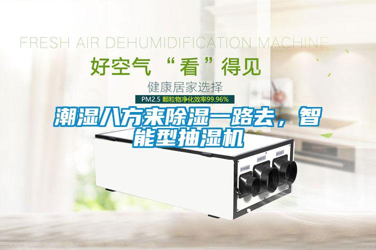 潮湿八方来除湿一路去，智能型抽湿机