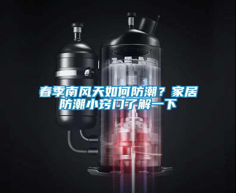 春季南风天如何防潮？家居防潮小窍门了解一下
