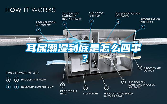 耳屎潮湿到底是怎么回事？