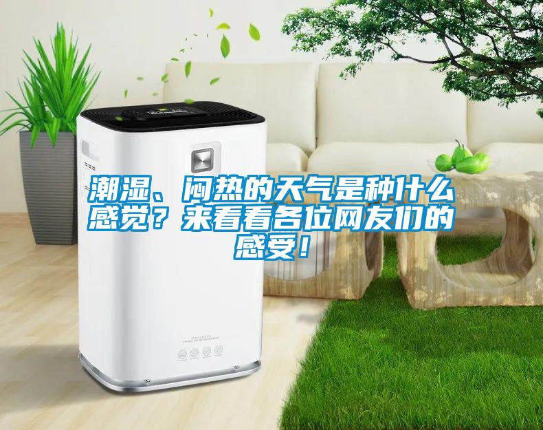 潮湿、闷热的天气是种什么感觉？来看看各位网友们的感受！