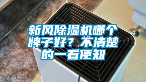 新风蜜柚直播APP正版下载哪个牌子好？不清楚的一看便知