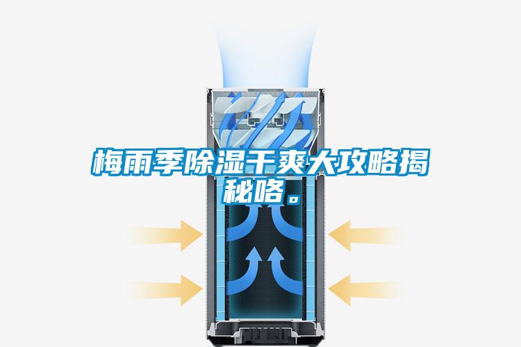 梅雨季除湿干爽大攻略揭秘咯。