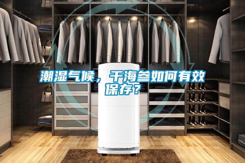 潮湿气候，干海参如何有效保存？