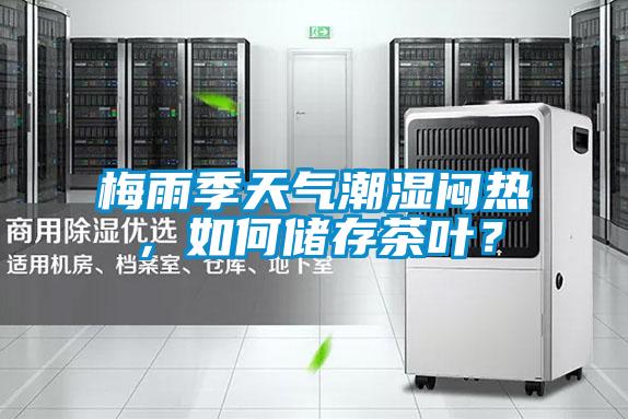 梅雨季天气潮湿闷热，如何储存茶叶？