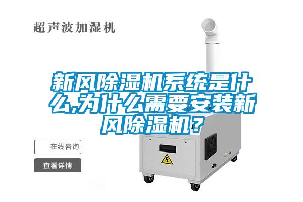 新风蜜柚直播APP正版下载系统是什么,为什么需要安装新风蜜柚直播APP正版下载？