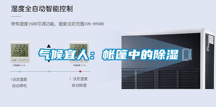 气候宜人：帐篷中的除湿