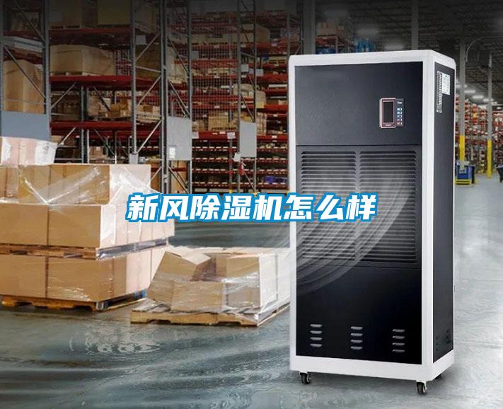 新风蜜柚直播APP正版下载怎么样