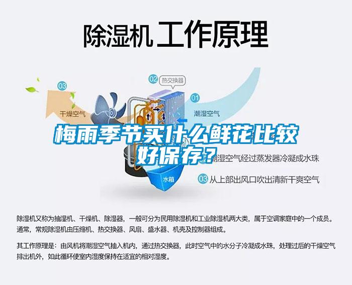 梅雨季节买什么鲜花比较好保存？