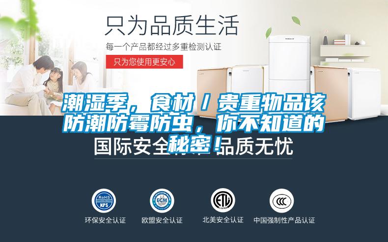 潮湿季，食材／贵重物品该防潮防霉防虫，你不知道的秘密！