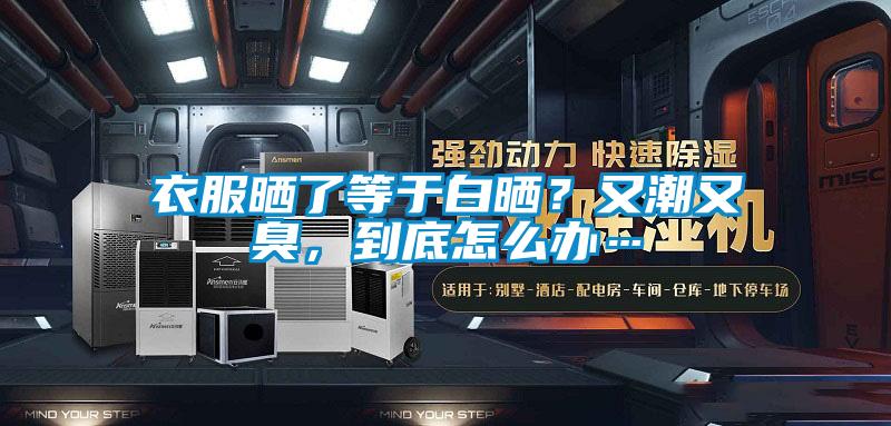 衣服晒了等于白晒？又潮又臭，到底怎么办…