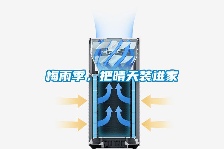 梅雨季，把晴天装进家