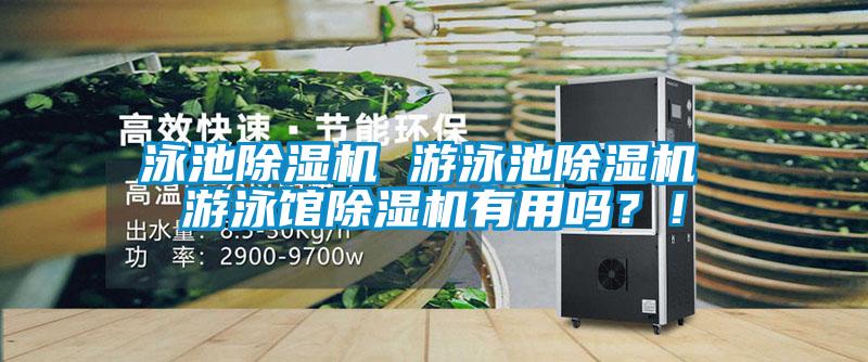 泳池蜜柚直播APP正版下载 游泳池蜜柚直播APP正版下载 游泳馆蜜柚直播APP正版下载有用吗？！