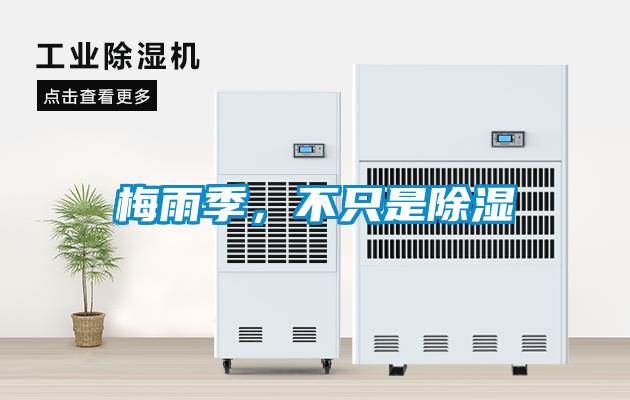 梅雨季，不只是除湿
