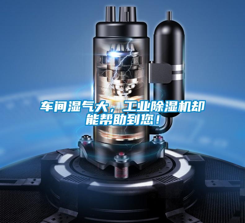 车间湿气大，工业蜜柚直播APP正版下载却能帮助到您！