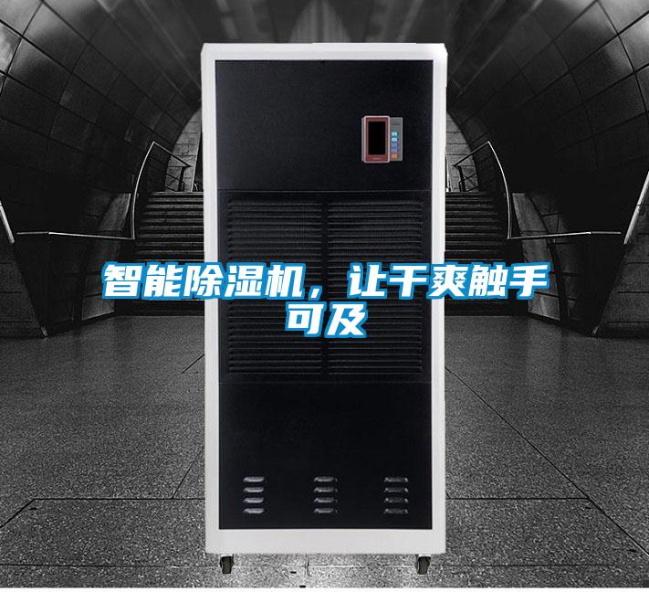 智能蜜柚直播APP正版下载，让干爽触手可及