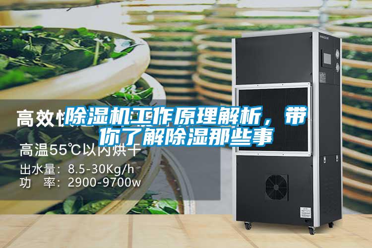 蜜柚直播APP正版下载工作原理解析，带你了解除湿那些事