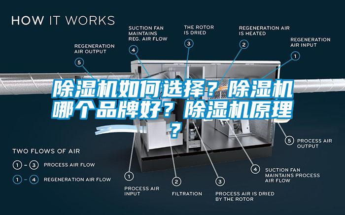 蜜柚直播APP正版下载如何选择?蜜柚直播APP正版下载哪个品牌好?蜜柚直播APP正版下载原理?